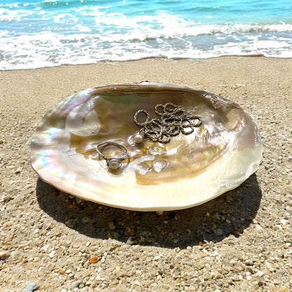 Natural Pearl Clam Shell Dish – Coastal Jewelry Tray, Soap Dish, Spoon Rest, Smudging Bowl, Sponge Holder, Beach House Decor
