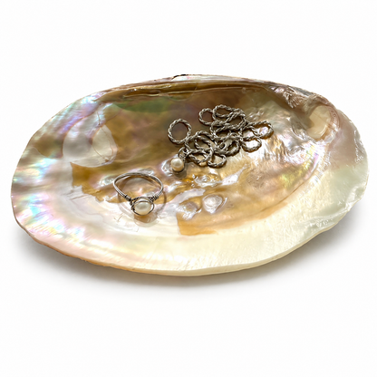 Natural Pearl Clam Shell Dish – Coastal Jewelry Tray, Soap Dish, Spoon Rest, Smudging Bowl, Sponge Holder, Beach House Decor
