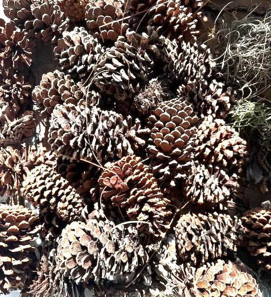 Assorted Fresh Pinecones for Crafting, Wreaths, Decor & More - Organic, Air-Dried, Unscented - Holiday, Wedding, Event - Bulk Orders