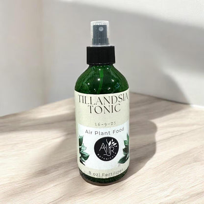 Air Plant Fertilizer Mist in Green Glass Bottle - Plant Food Tonic for Vibrant Growth & Freshness - Eco-Friendly Formula - Packaging