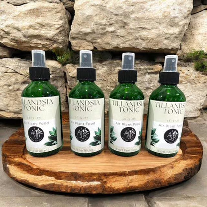 Air Plant Fertilizer Mist in Green Glass Bottle - Plant Food Tonic for Vibrant Growth & Freshness - Eco-Friendly Formula - Packaging