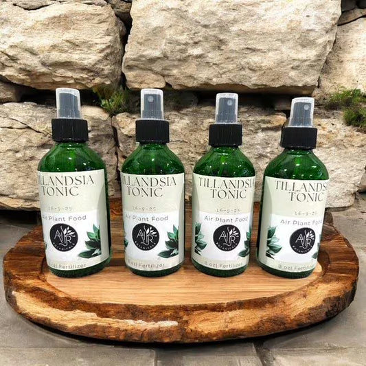 Air Plant Fertilizer Mist in Green Glass Bottle - Plant Food Tonic for Vibrant Growth & Freshness - Eco-Friendly Formula - Packaging