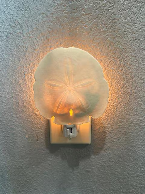 Shell Nightlight Coastal Arrowhead Sand Dollar Light - Handcrafted Organic Shell Decor with Warm Glow - Perfect Beach House or Nursery Gift