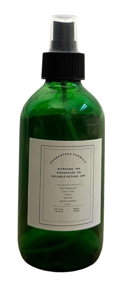Air Plant Fertilizer Mist in Green Glass Bottle - Plant Food Tonic for Vibrant Growth & Freshness - Eco-Friendly Formula - Packaging