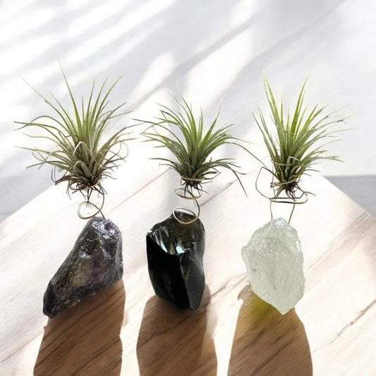 Crystal Geode Holder with Air Plant for Natural Healing Energy, Gift Box & Care Kit – A Thoughtful Gift for Mindfulness, Balance and Self-Care