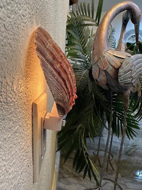 Natural Scallop Seashell Night Light-  Handmade- Heavy Natural Shell- Auto On/Off LED Light- Beach House- Ocean-Inspired Gift