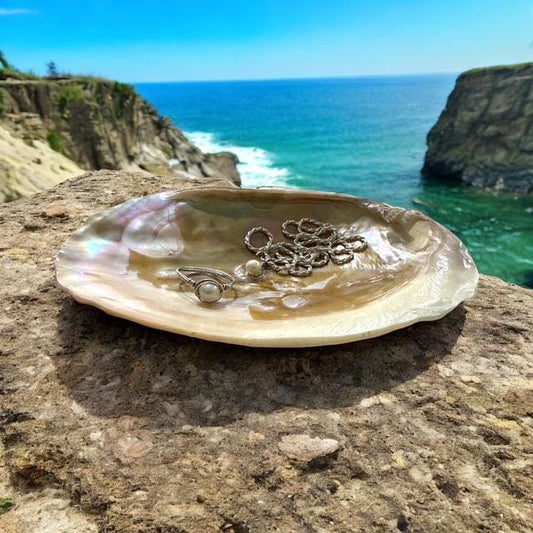Large Mother of Iridescent Pearl Clam Shell - Coastal Home Decor - Jewelry / Soap Dish - Natural Seashell