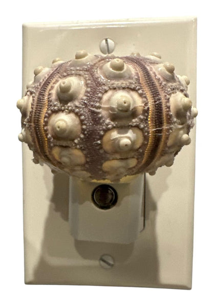 Sputnik Sea Urchin Night Light – Automatic On/Off, Long-Lasting Bulb, 2.5" Coastal Shell Light- Beach Décor- Unique Gift
