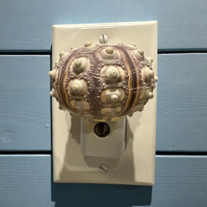 Sputnik Sea Urchin Night Light – Automatic On/Off, Long-Lasting Bulb, 2.5" Coastal Shell Light- Beach Décor- Unique Gift