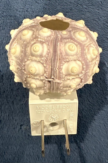 Sputnik Sea Urchin Night Light – Automatic On/Off, Long-Lasting Bulb, 2.5" Coastal Shell Light- Beach Décor- Unique Gift