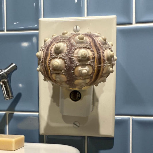 Sputnik Sea Urchin Night Light – Automatic On/Off, Long-Lasting Bulb, 2.5" Coastal Shell Light- Beach Décor- Unique Gift