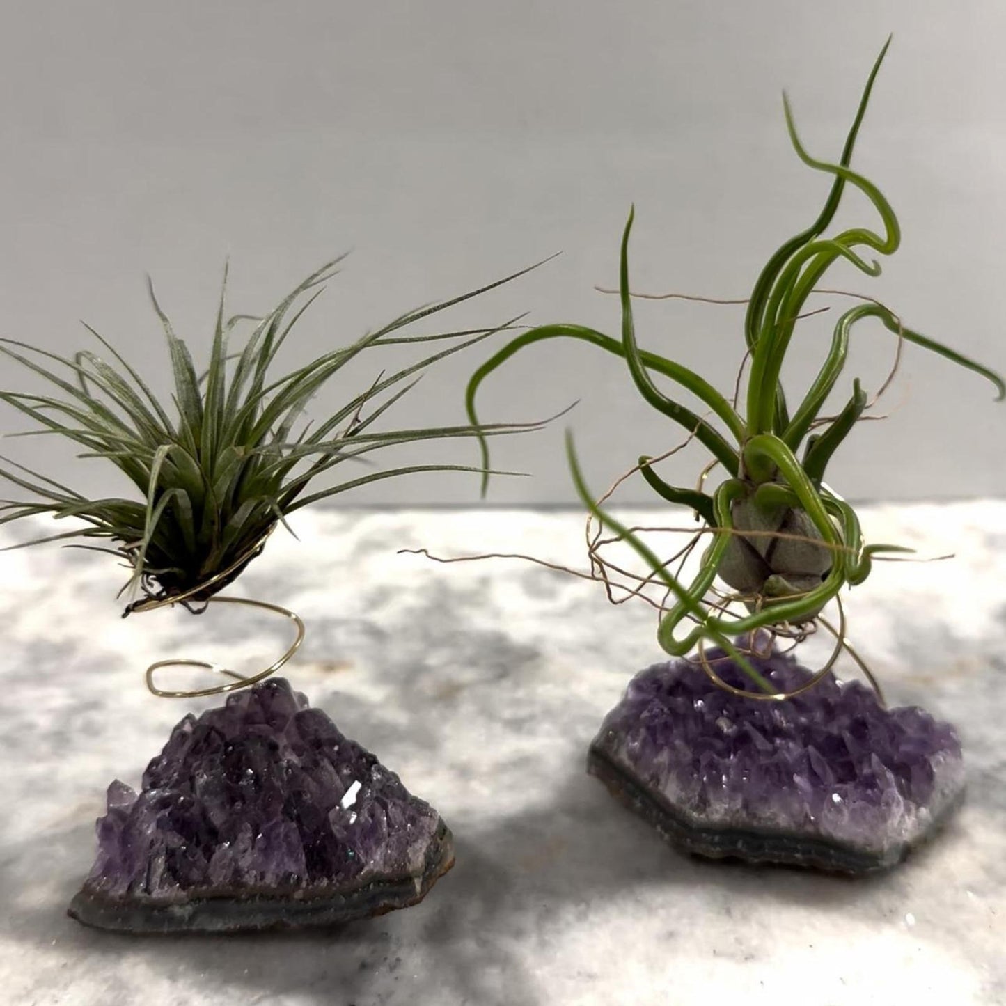 SET-2 Amethyst Geode Crystal Air Plant Holders with Air Plants - Unique Birthday