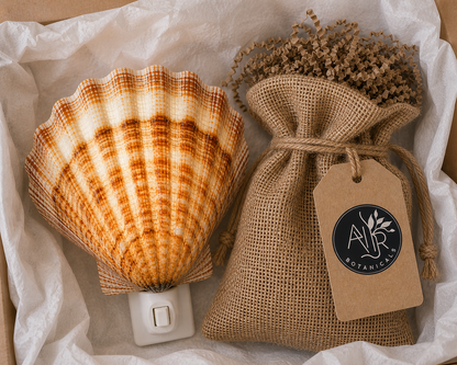 Natural Lion's Paw Shell Night Light – Handmade Coastal Beach Décor – Real Seashell Lamp with Replaceable Bulb & On/Off Switch