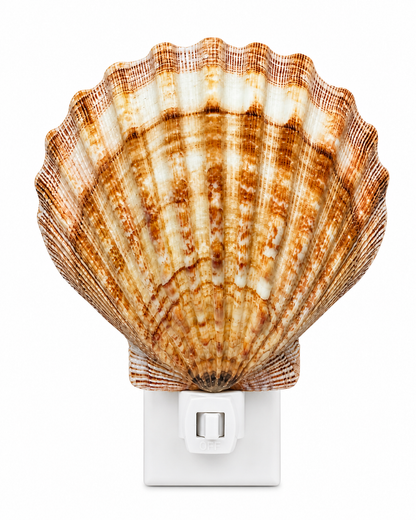 Natural Lion's Paw Shell Night Light – Handmade Coastal Beach Décor – Real Seashell Lamp with Replaceable Bulb & On/Off Switch