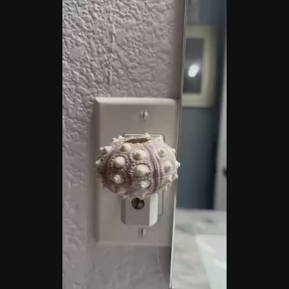 Sputnik Sea Urchin Night Light – Automatic On/Off, Long-Lasting Bulb, 2.5" Coastal Shell Light- Beach Décor- Unique Gift