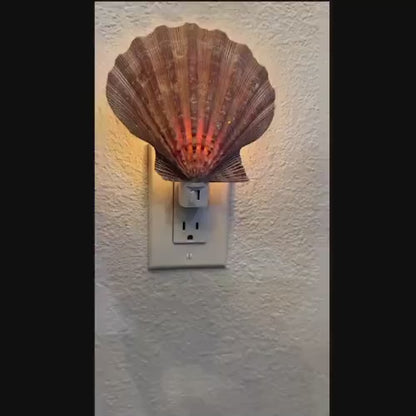 Natural Scallop Seashell Night Light-  Handmade- Heavy Natural Shell- Auto On/Off LED Light- Beach House- Ocean-Inspired Gift