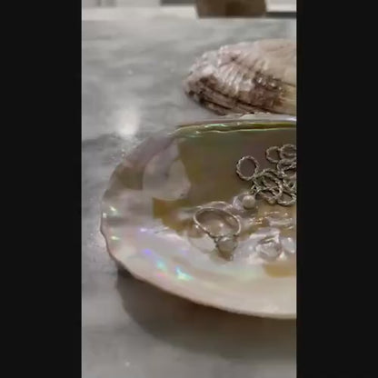 Large Mother of Iridescent Pearl Clam Shell - Coastal Home Decor - Jewelry / Soap Dish - Natural Seashell