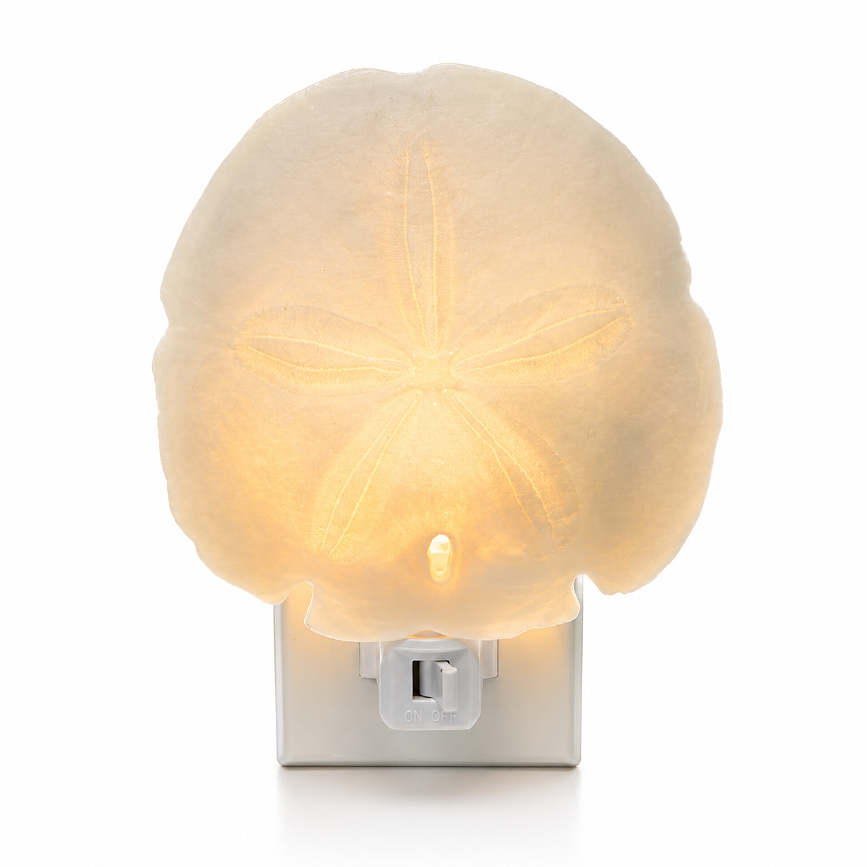 Sand Dollar Arrowhead Shell Nightlight Hallway, Bathroom, Kitchen, Nursery Decor
