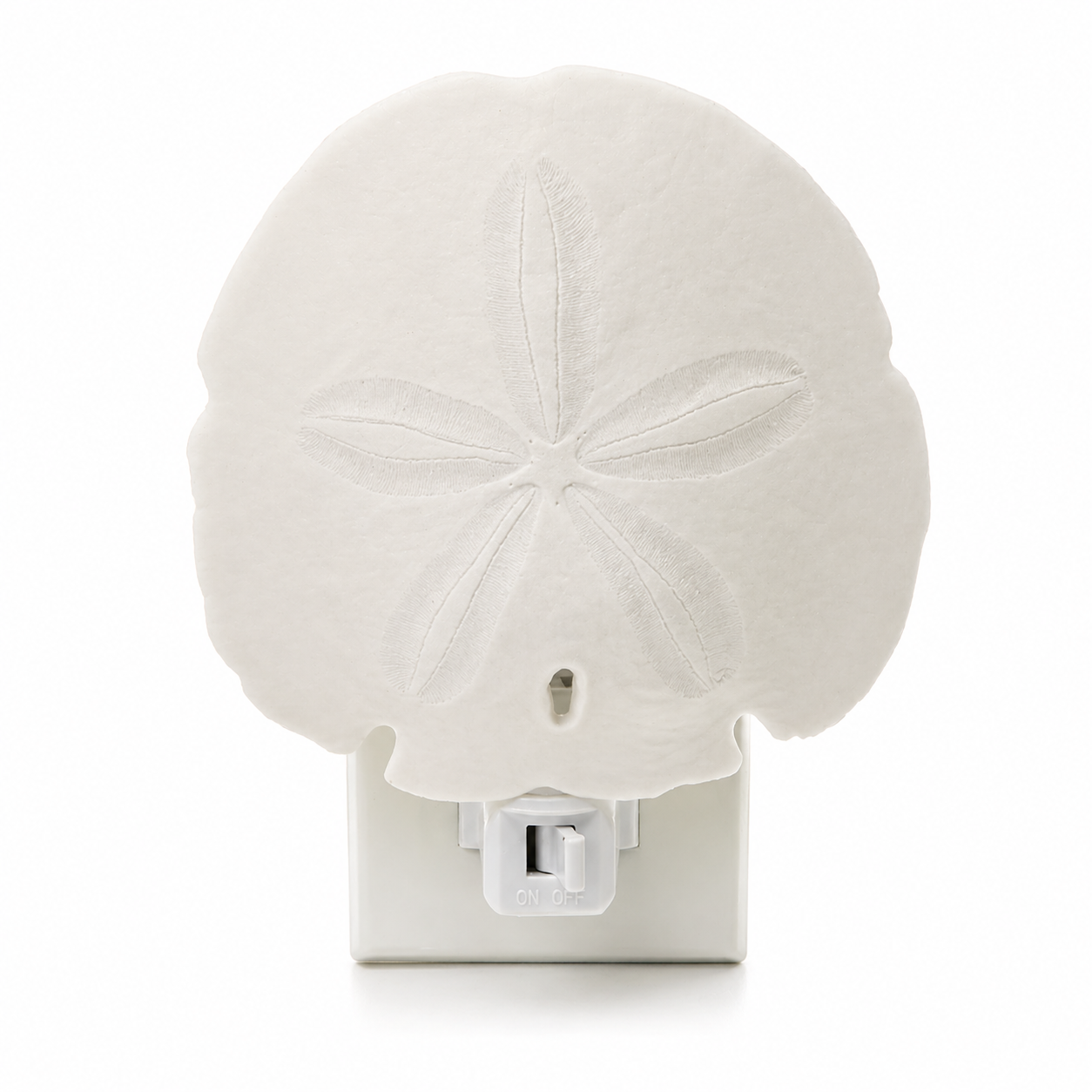 Sand Dollar Arrowhead Shell Nightlight Hallway, Bathroom, Kitchen, Nursery Decor