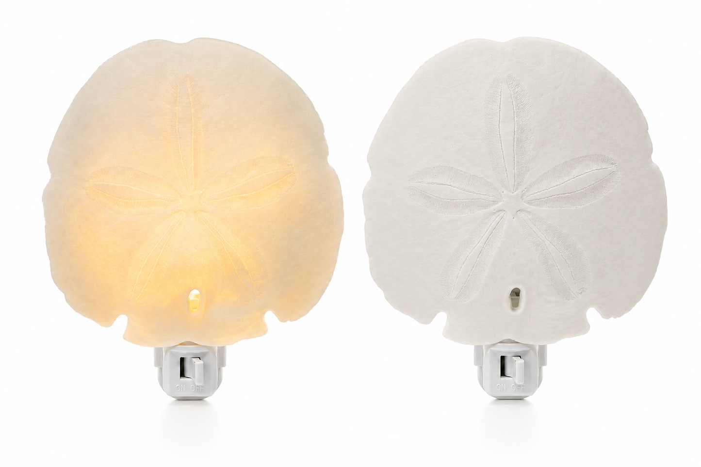 Sand Dollar Arrowhead Shell Nightlight Hallway, Bathroom, Kitchen, Nursery Decor