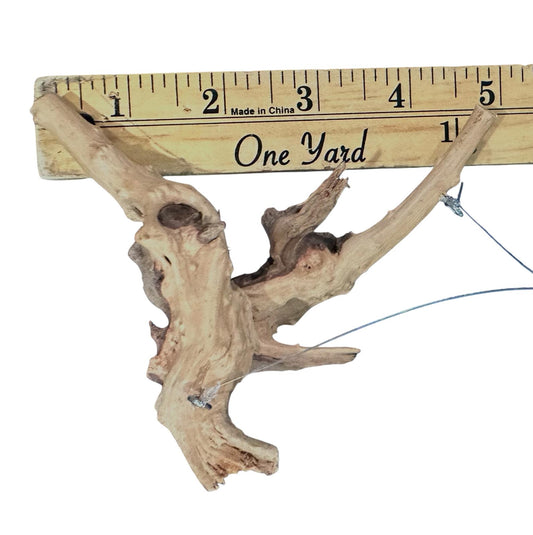Natural Driftwood Spider Wood Decor | Locally Sourced from Florida | Air Plant Display for Terrariums & Aquariums