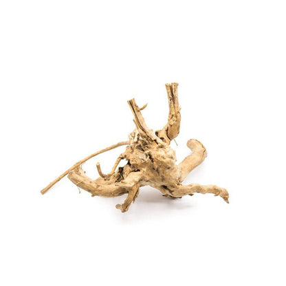 Natural Driftwood Spider Wood Decor | Locally Sourced from Florida | Air Plant Display for Terrariums & Aquariums